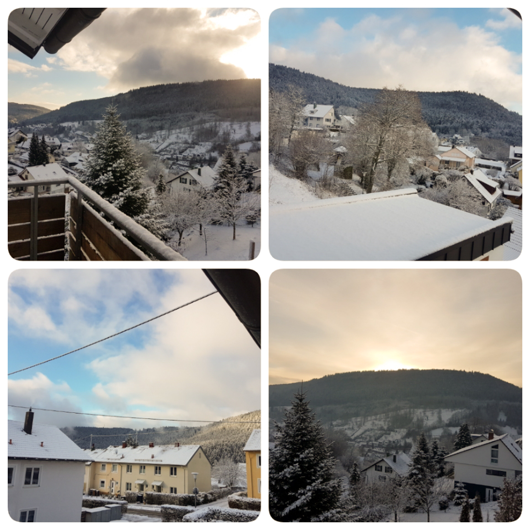 img1548005142236
